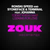 Ronski Speed, Stoneface, Stoneface & Terminal & Terminal - I Didn't Know I Was Looking for Love (feat. Johanna) - EP